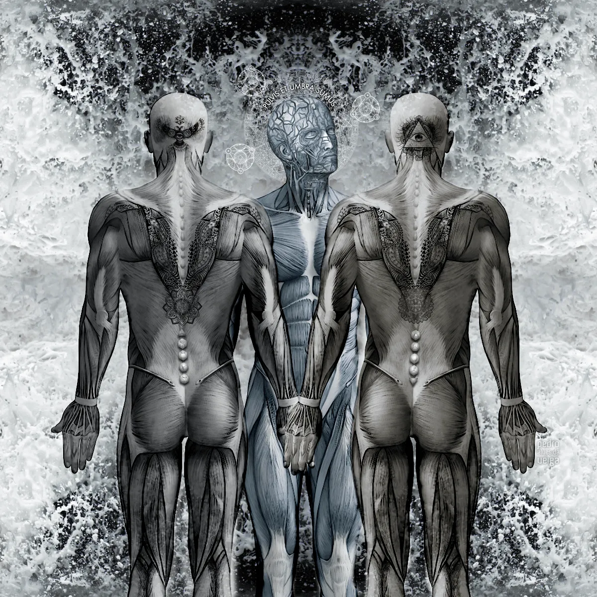 Principium: Pulvis et umbra sumus