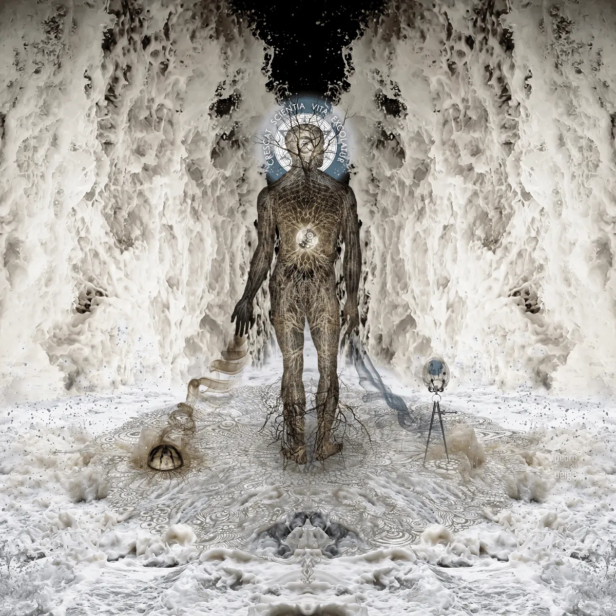 Principium: Crescat scientia vita excolatur