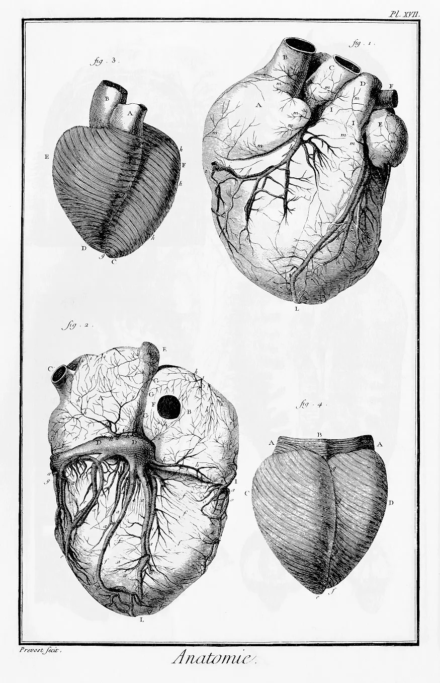 plate_18_4_24