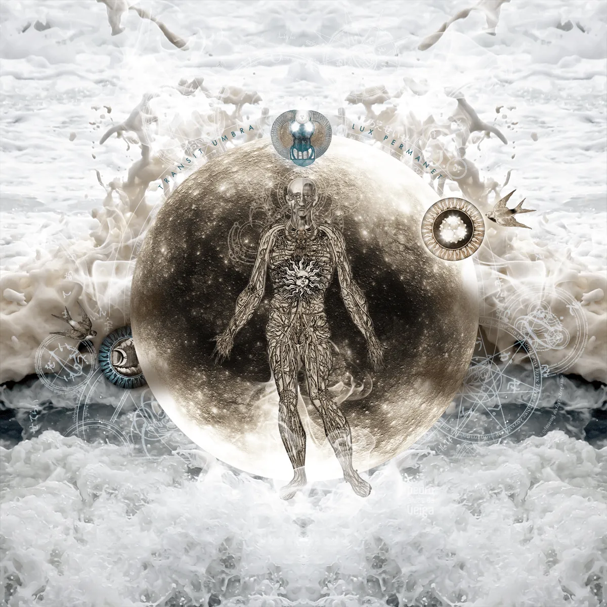 Principium: Transit umbra lux permanet