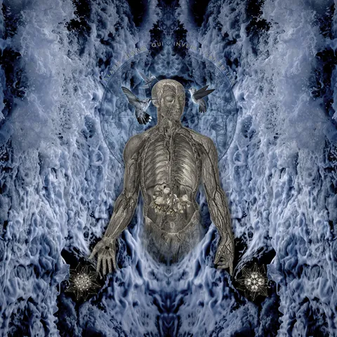 Principium: Beatus homo qui invenit sapientiam