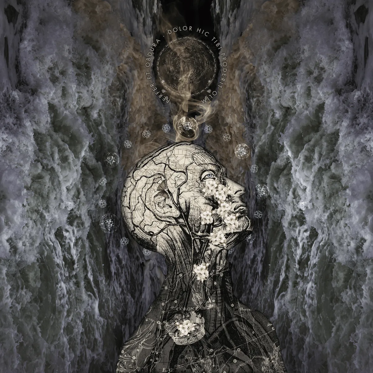 Principium: Perfer et obdura – dolor hic tibi proderit olim