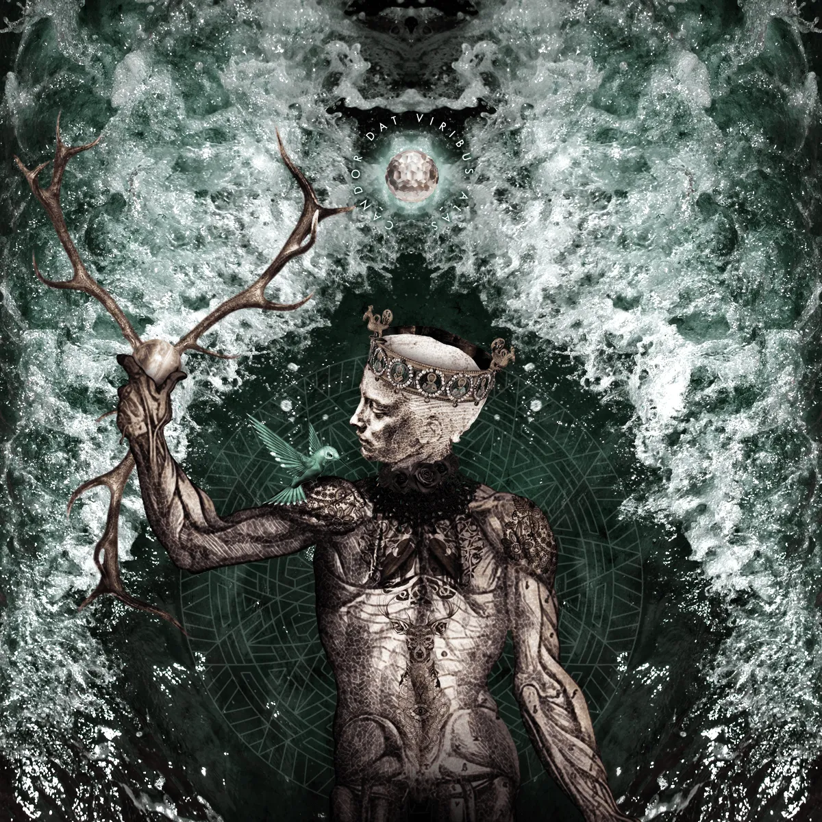 Principium: Candor dat viribus alas