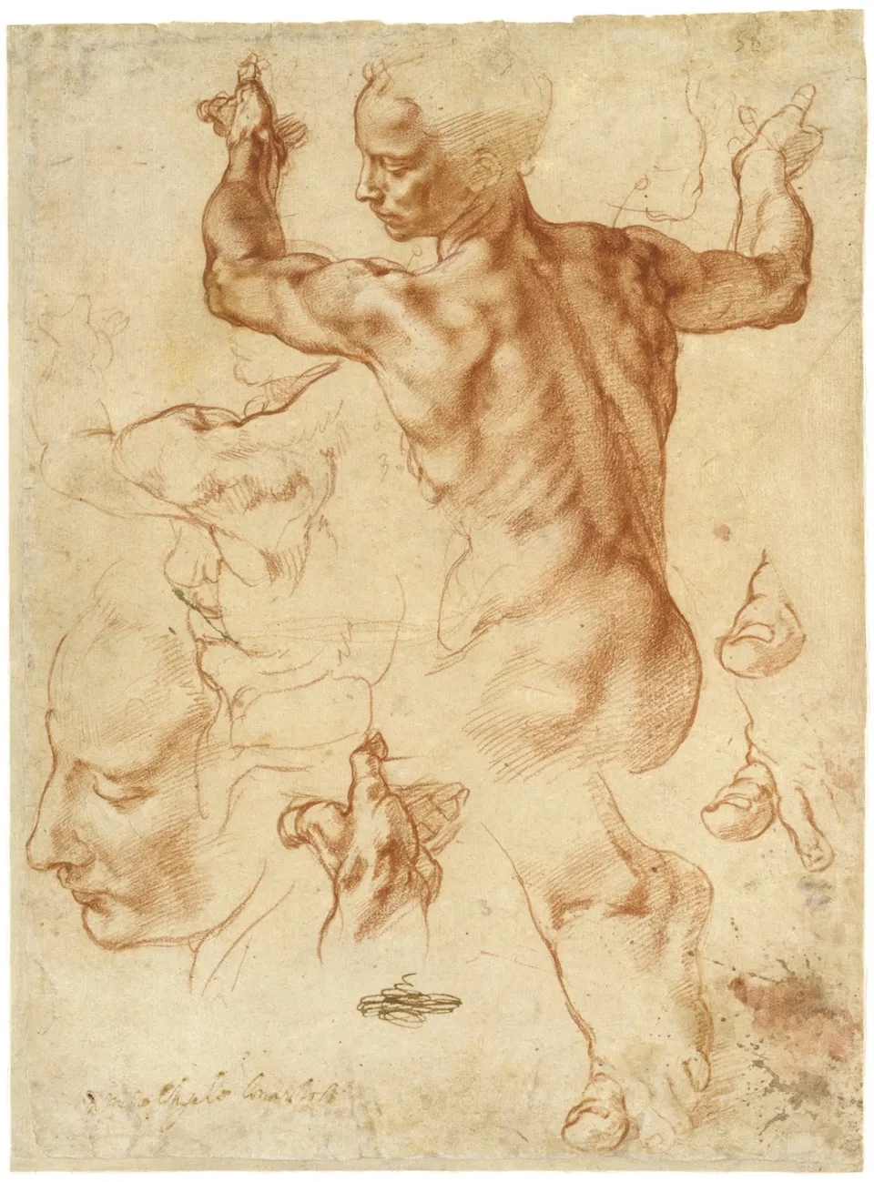 Michelangelo sibylle 01