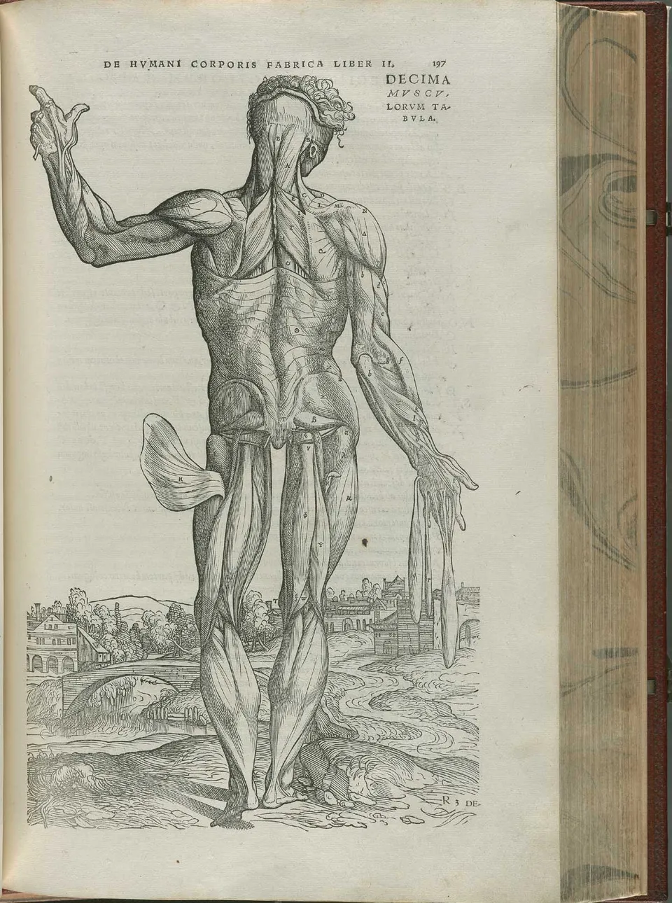 Vesalius_Pg_197