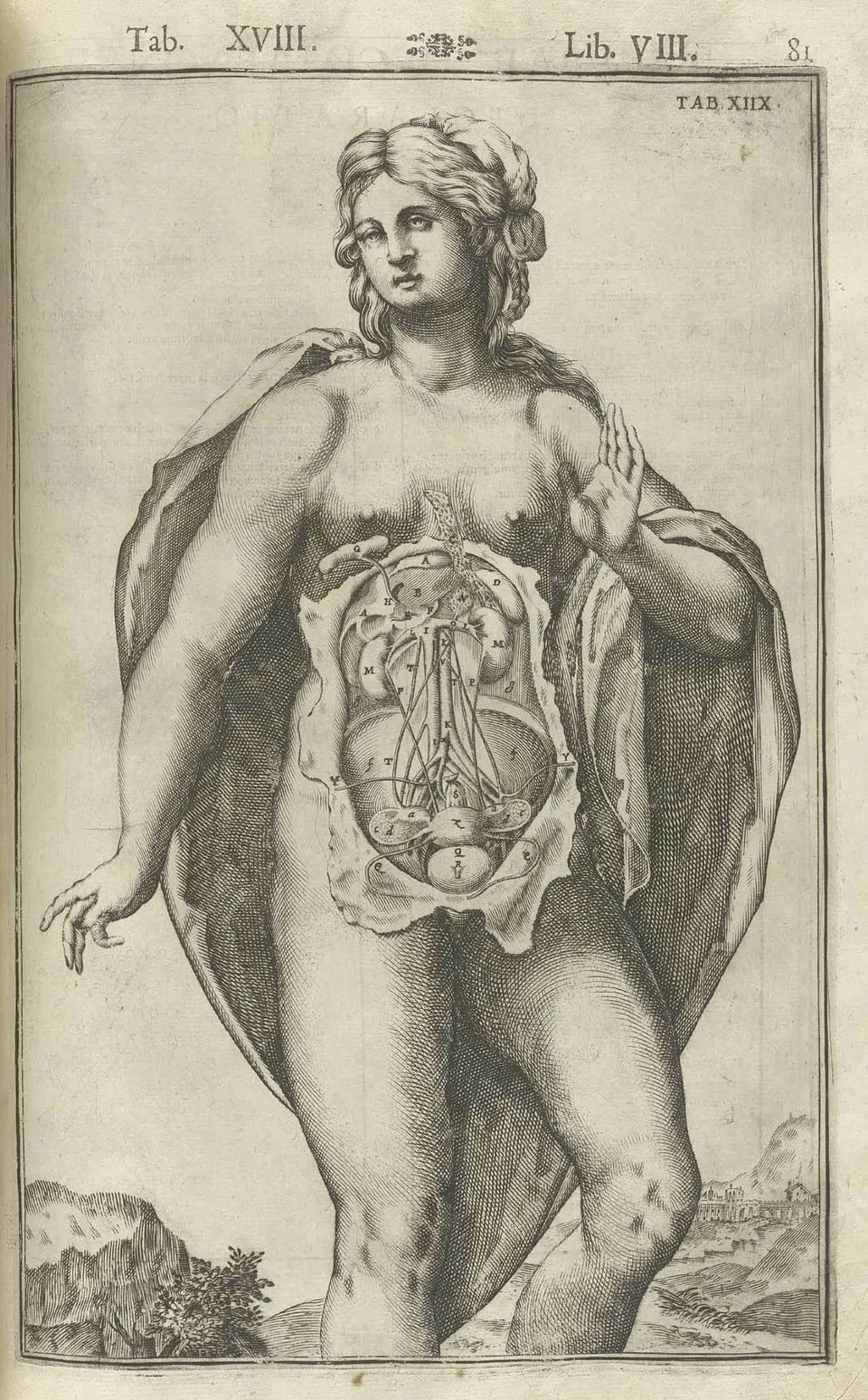 casserius_9_lg