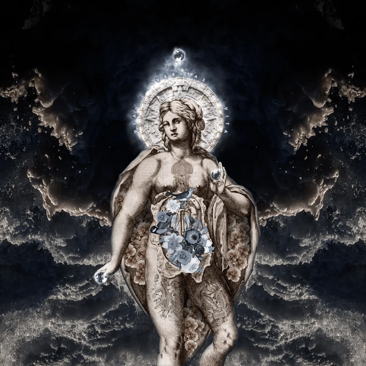 Principium: Via veritas vita