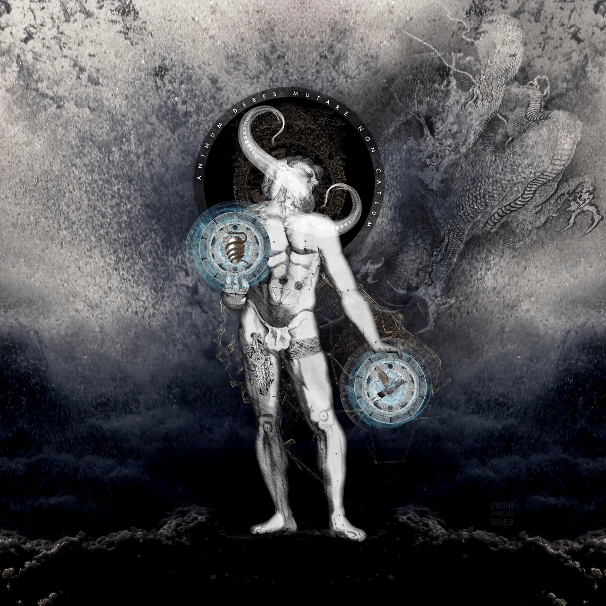 Principium: Animum debes mutare, non caelum