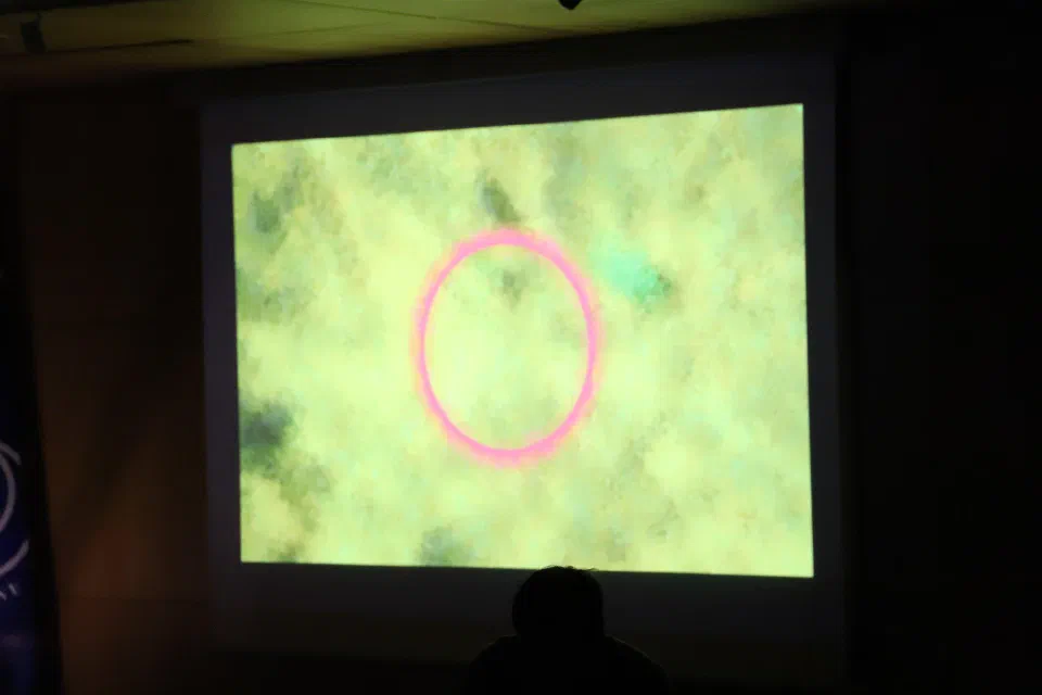 Generative projection during the performance